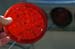 071007-2759_New_LED_taillights
