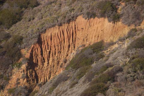 080102-4093_Big_Sur