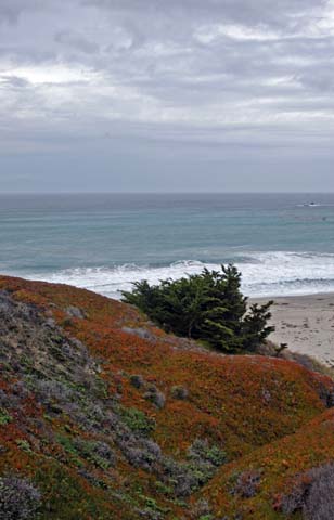 080103-4128_Big_Sur