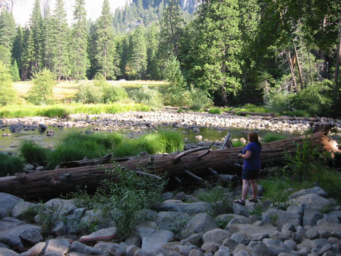 080928-2466_Yosemite_iconic_view