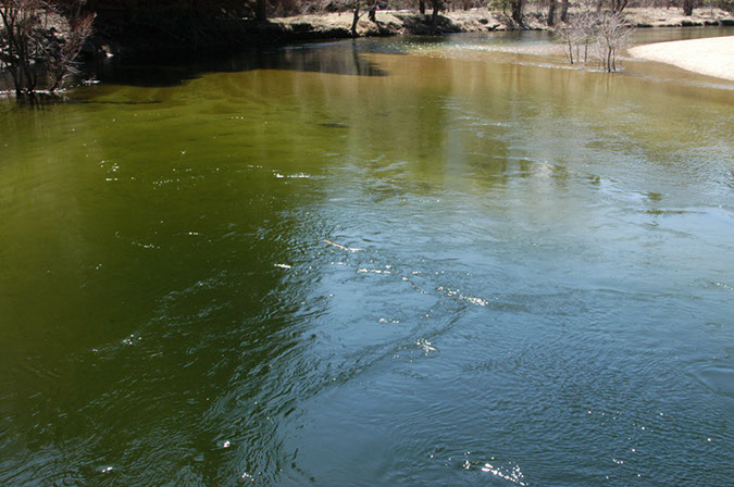 090328-8769_From_Swinging_Bridge