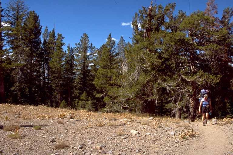 photo, hiker on hill crest walking toward camera