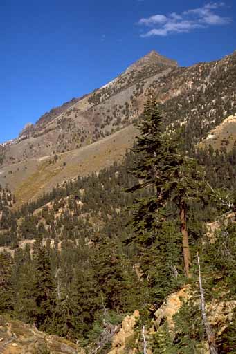 photo, Silver Peak in middle distance