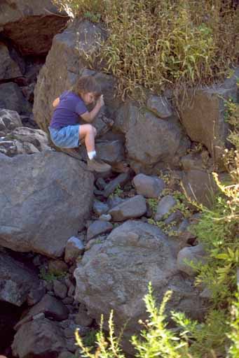photo, kid climbing
