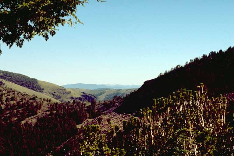 photo, Wellington Hills