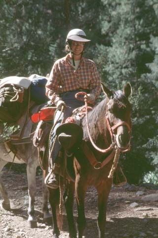 Maralyn and horses.