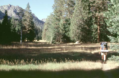 Jeannie entering a meadow.