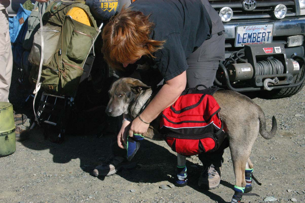 051008-2316_Doggie_booties