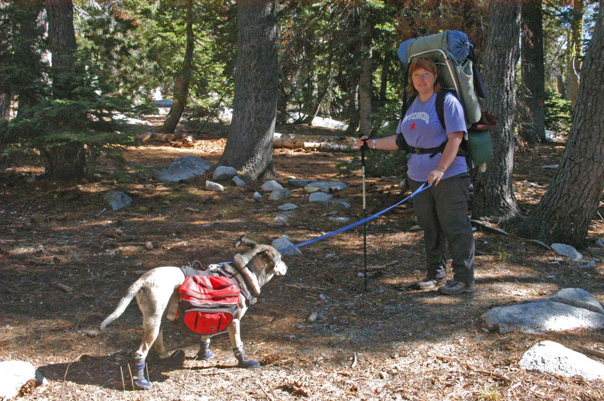 051009-2428_Loaded_dog