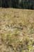 051009-2465_Sleeping-bag_hill