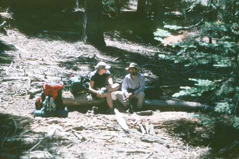 Photo, two people sitting on a log.