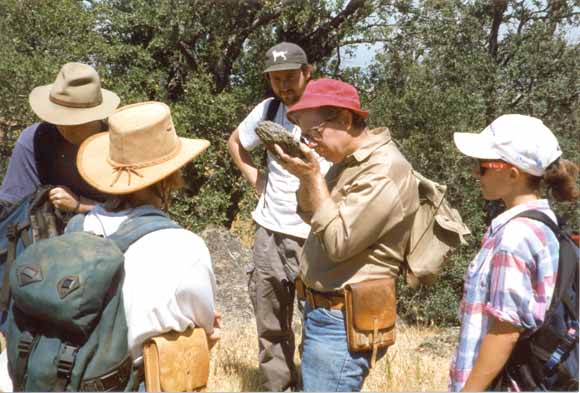 Photo of field group