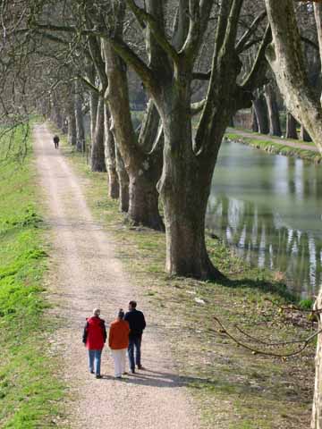 Photo, tow path