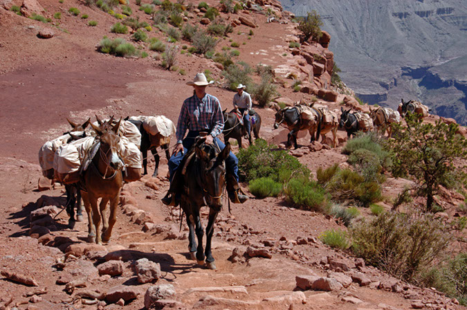080529-6504_Grand_Canyon