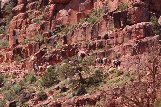 080529-6506_Grand_Canyon