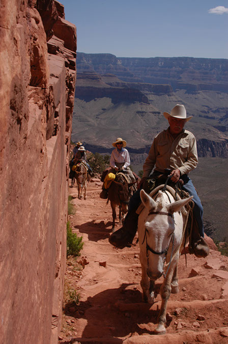 080529-6511_Grand_Canyon