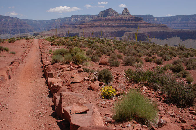 080529-6516_Grand_Canyon