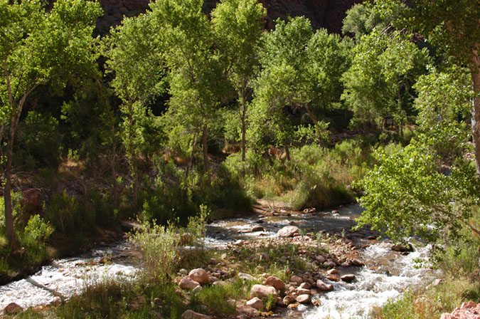 080529-6615_Grand_Canyon