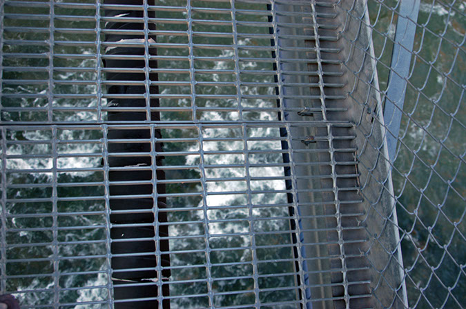 080530-6650_Silver_Bridge