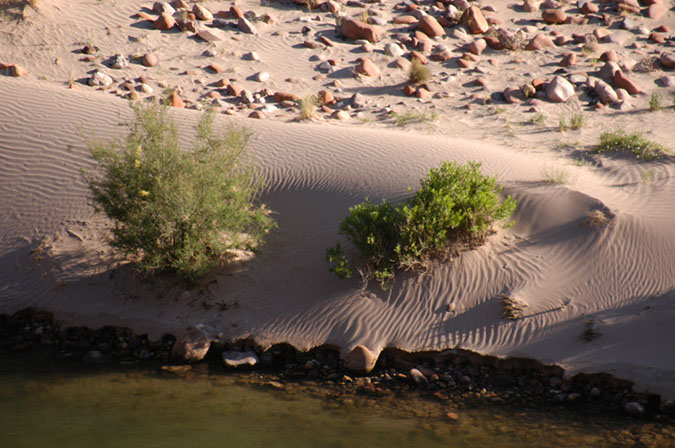 080530-6668_Grand_Canyon