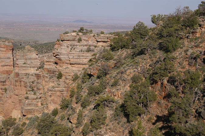 080531-6788_Grand_Canyon