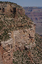 080528-6392_Grand_Canyon