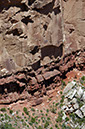 080528-6403_Grand_Canyon