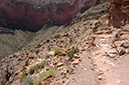 080529-6535_Grand_Canyon