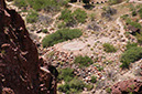 080529-6564_Grand_Canyon