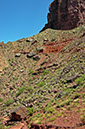 080529-6566_Grand_Canyon