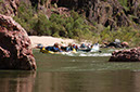 080529-6609_Grand_Canyon