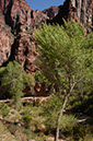 080529-6614_Grand_Canyon