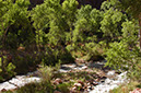 080529-6615_Grand_Canyon