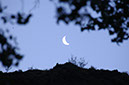 080530-6639_Moonrise