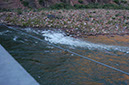 080530-6651_Silver_Bridge