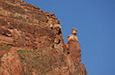 080530-6654_Grand_Canyon