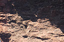 080530-6663_Grand_Canyon
