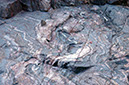 080530-6671_Grand_Canyon