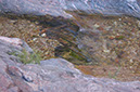 080530-6673_Pipe_Creek