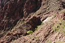 080530-6680_Grand_Canyon