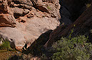 080530-6686_Grand_Canyon