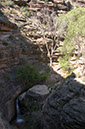 080530-6690_Grand_Canyon
