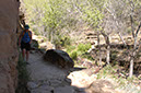 080530-6691_Grand_Canyon