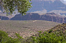080530-6698_Grand_Canyon