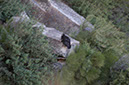 080530-6737_Condor