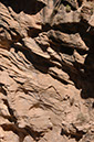 080530-6742_Grand_Canyon