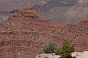 080531-6756_Grand_Canyon
