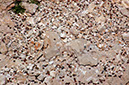 080531-6758_Coins