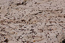 080531-6759_Coins