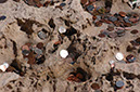 080531-6760_Coins